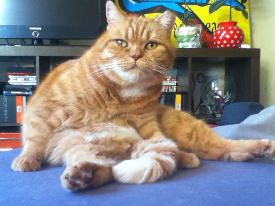 Many Asked Me That Before, But Shrek And I Actually Drifted A Part, We Wanted Different Things.