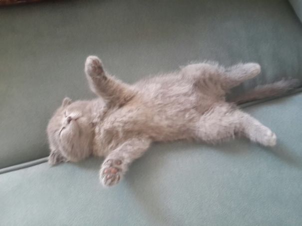 After A Long Hard Day