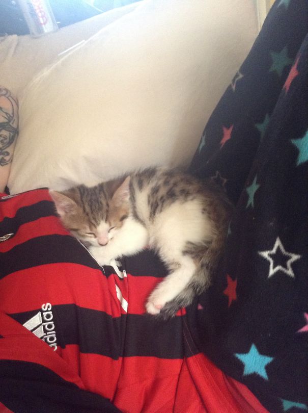 I'm Not Allowed Get Up For A While