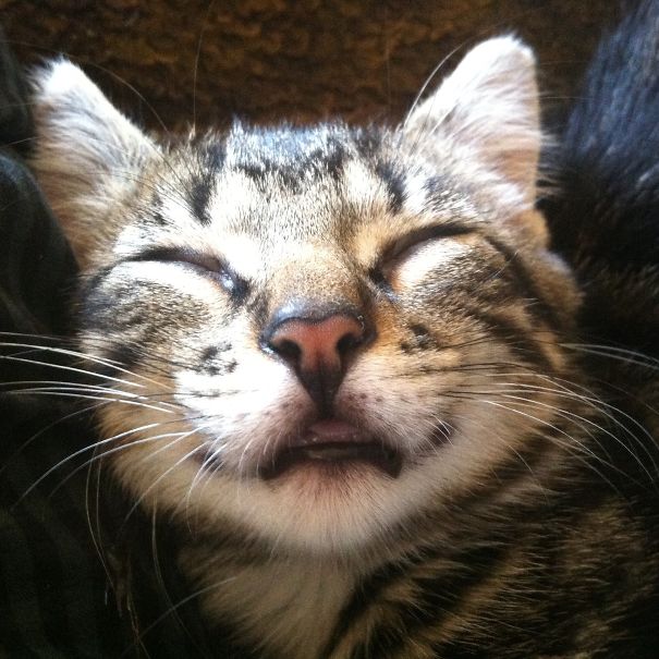 She Clocked Out For An Hour Like This.