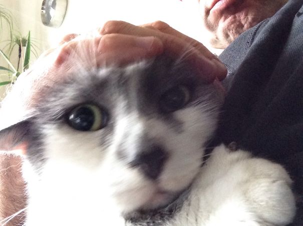 It Wasn't Me, Honest !