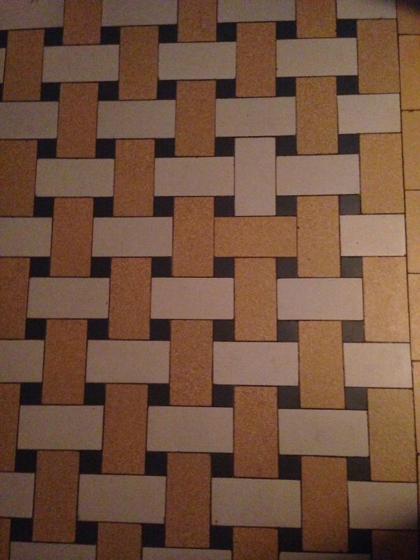 View From My Toilet Seat