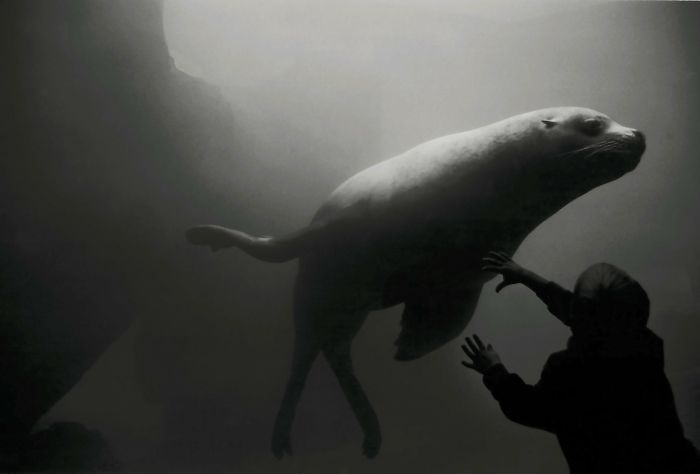 Touching The Dragons Belly