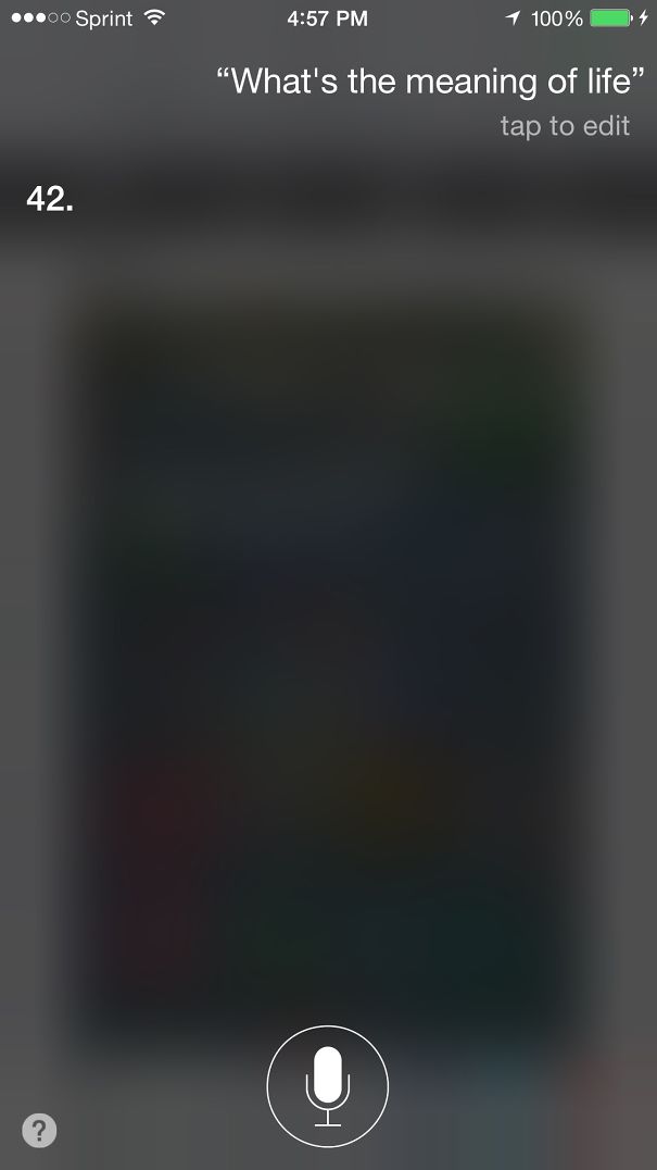 What's The Meaning Of Life