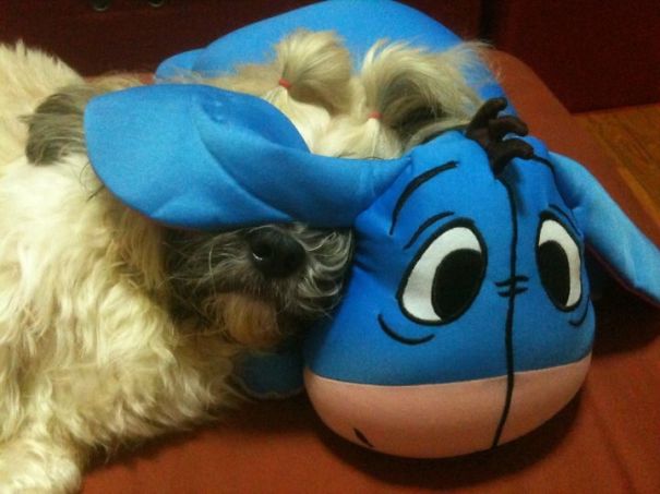 When It's Too Bright To Sleep Use An Eye Mask