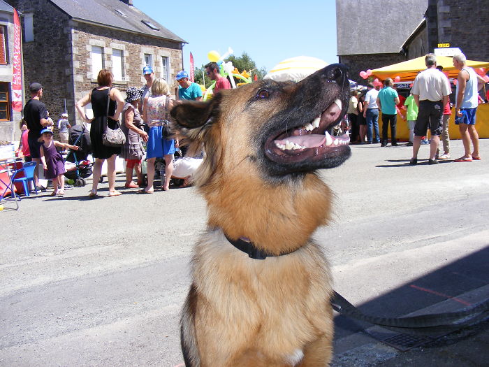 Can I Eat Four Of Those Little People ? Can I ?