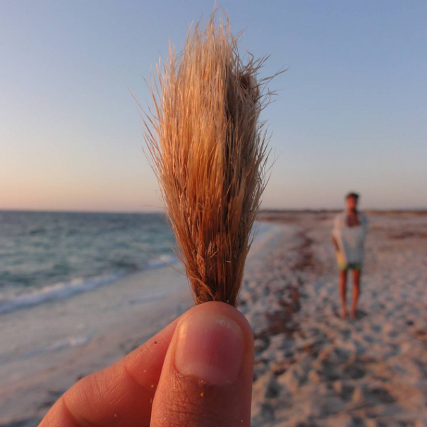 I Document The Scents Of Sardinia To Remember The Smells Of My Land I Document The Scents Of Sardinia To Remember The Smells Of My Land