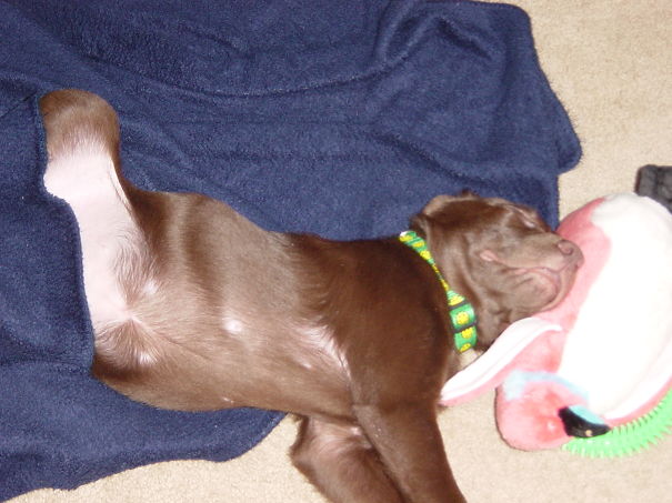 Sleeping With My Penguin.