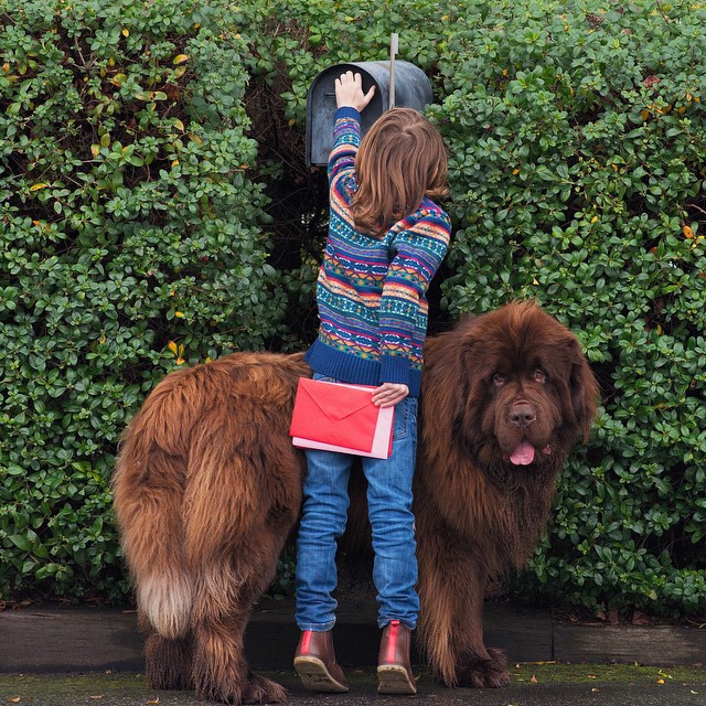 Mom Documents The Friendship Between A Boy, His Two Giant Dogs & A Horse