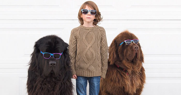 Mom Documents The Friendship Between A Boy, His Two Giant Dogs & A Horse