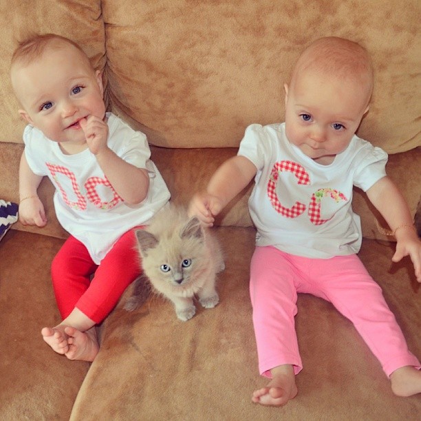 mother-twins-frequently-asked-question-sign-annie-nolan-127