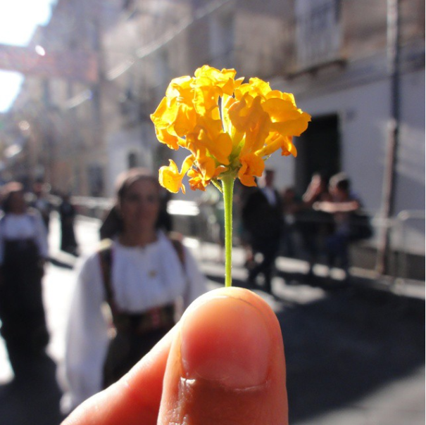 I Document The Scents Of Sardinia To Remember The Smells Of My Land