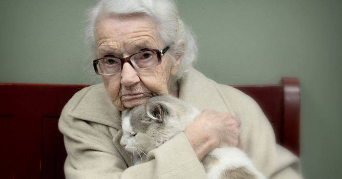 120 Of The Oldest Cats Adopted By People With The Biggest Hearts