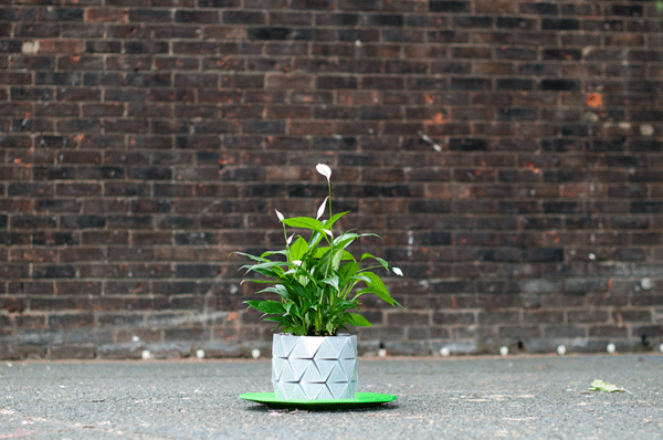 origami-pot-plant-grows-studio-ayaskan-6 origami-pot-plant-grows-studio-ayaskan-6