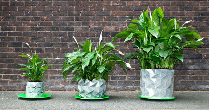 Shape-Shifting ‘Origami’ Pots That Grow Together With Your Plants