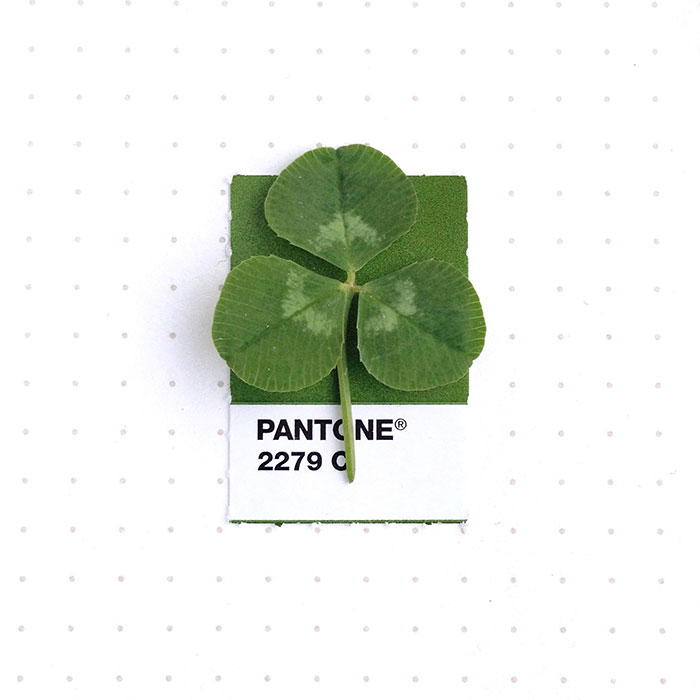 pantone-matching-system-everyday-objects-tiny-pms-project-inka-mathews-houston-texas-1