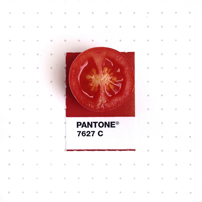 pantone-matching-system-everyday-objects-tiny-pms-project-inka-mathews-houston-texas-13