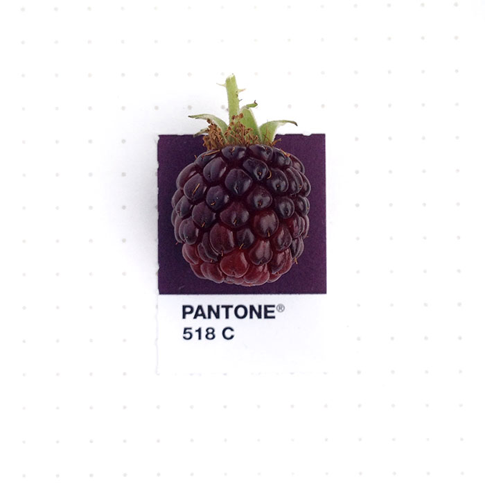 pantone-matching-system-everyday-objects-tiny-pms-project-inka-mathews-houston-texas-14