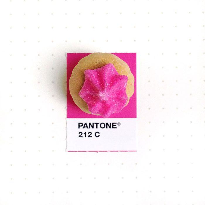 pantone-matching-system-everyday-objects-tiny-pms-project-inka-mathews-houston-texas-17