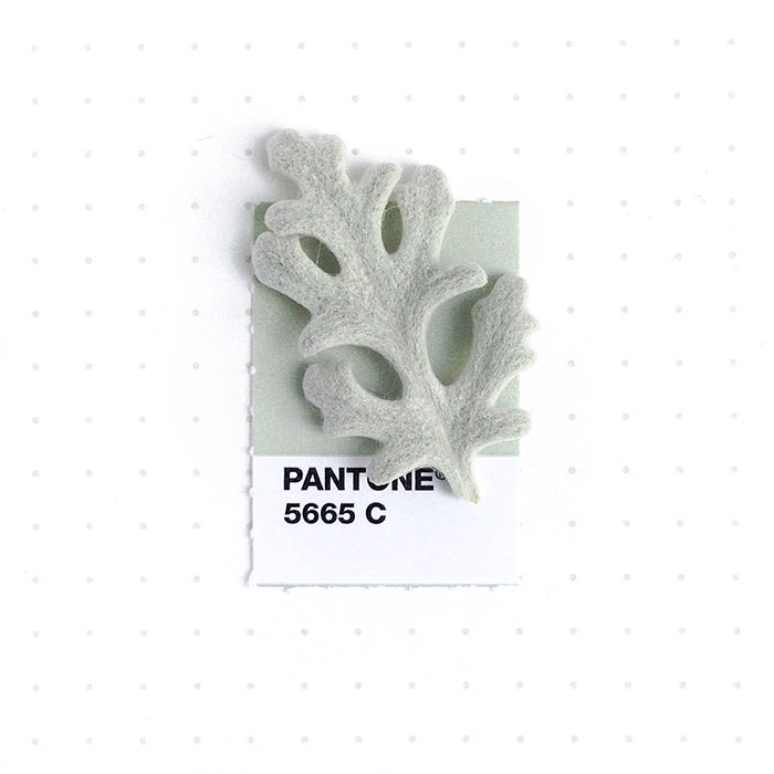 pantone-matching-system-everyday-objects-tiny-pms-project-inka-mathews-houston-texas-18