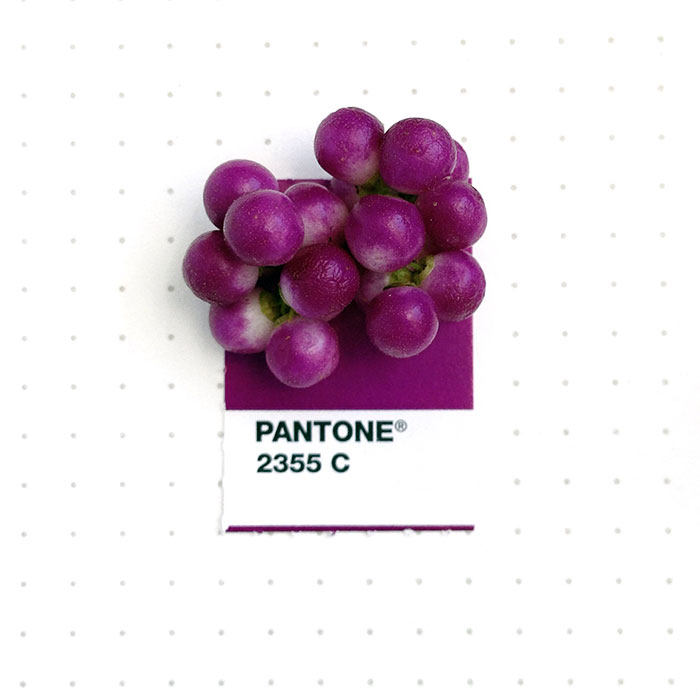 pantone-matching-system-everyday-objects-tiny-pms-project-inka-mathews-houston-texas-2