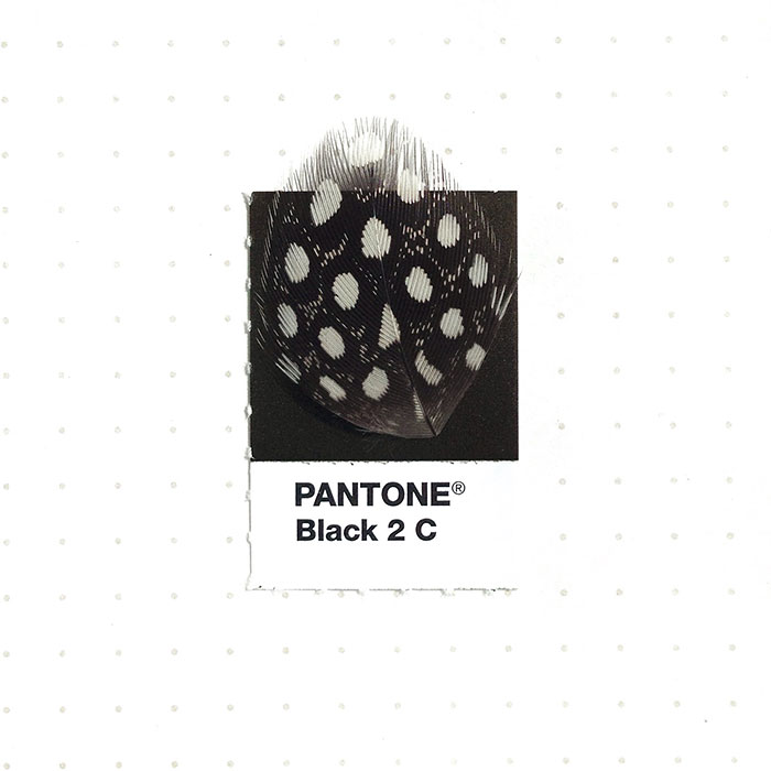 pantone-matching-system-everyday-objects-tiny-pms-project-inka-mathews-houston-texas-20