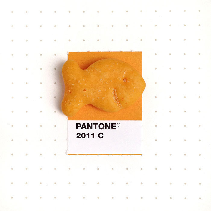 pantone-matching-system-everyday-objects-tiny-pms-project-inka-mathews-houston-texas-5