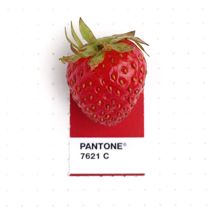 pantone-matching-system-everyday-objects-tiny-pms-project-inka-mathews-houston-texas-6