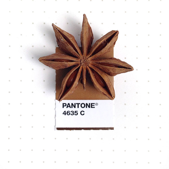 pantone-matching-system-everyday-objects-tiny-pms-project-inka-mathews-houston-texas-9