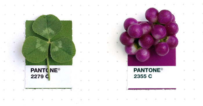 Designer Pairs Pantone Swatches With Tiny Everyday Objects