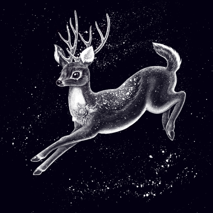 Artist Creates Magical Woodland Creature Illustrations