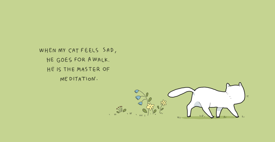 When My Cat Feels Sad