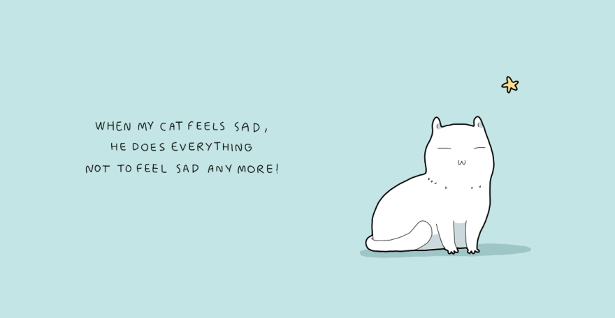 When My Cat Feels Sad When My Cat Feels Sad