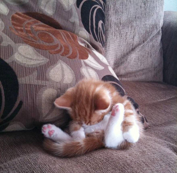 Best Sleeping Pose Ever