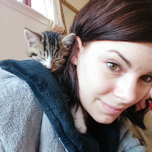 Chosen Sleeping Place Of My New Kitty