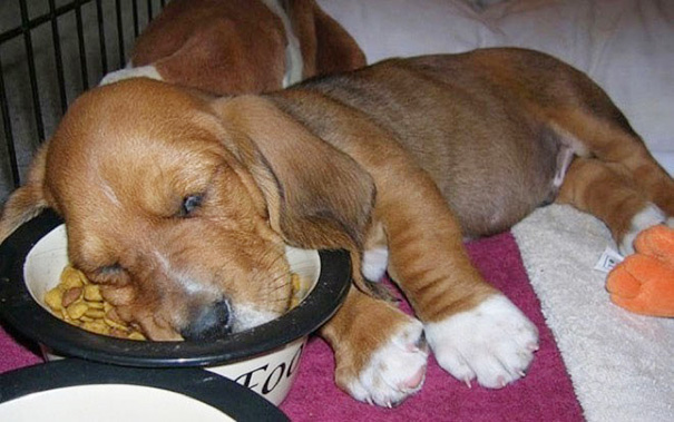 You Can Sleep Anywhere You Want