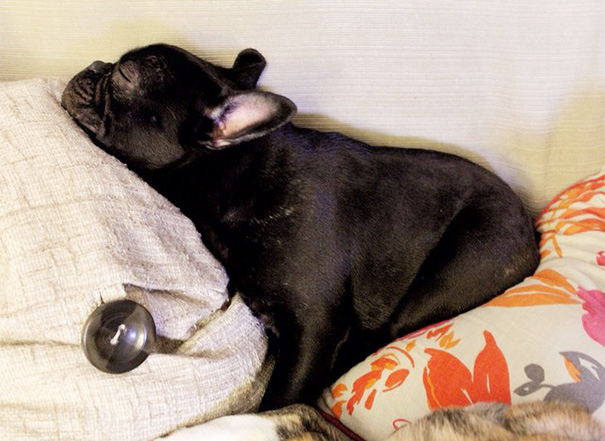 When You And Bae Are Fighting And They Fall Asleep On You