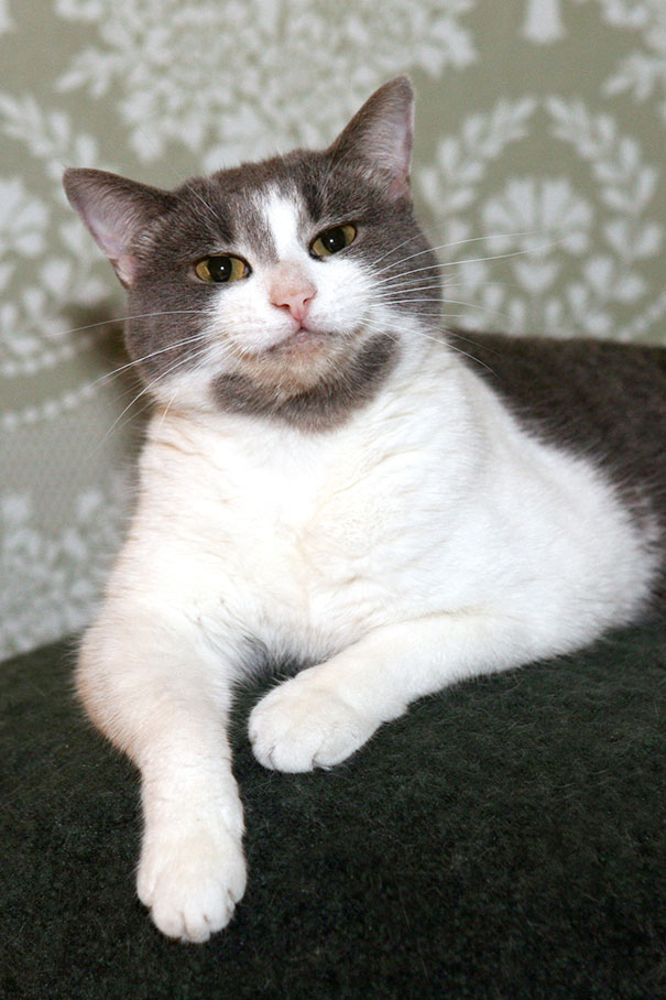 Sunny Smiles Like This. Cute, Eh?