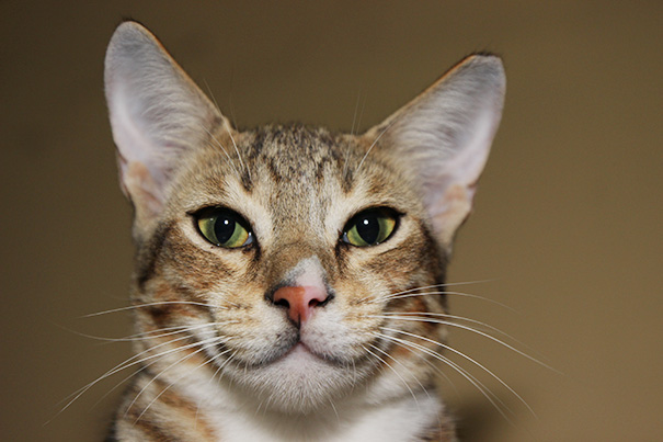 Kovue Smiling For The Camera