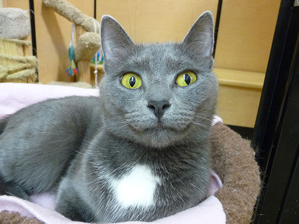 A Smile A Day Keeps The Doctor Away - This Is Really The Way She Looks