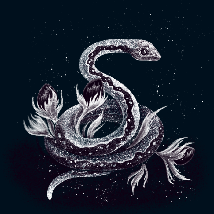 Artist Creates Magical Woodland Creature Illustrations