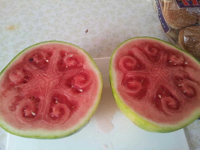 weird-watermelons-beautiful-hollow-heart-6 weird-watermelons-beautiful-hollow-heart-6