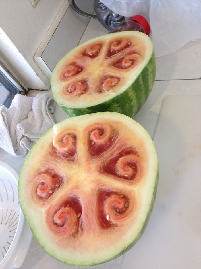 weird-watermelons-beautiful-hollow-heart-8 weird-watermelons-beautiful-hollow-heart-8