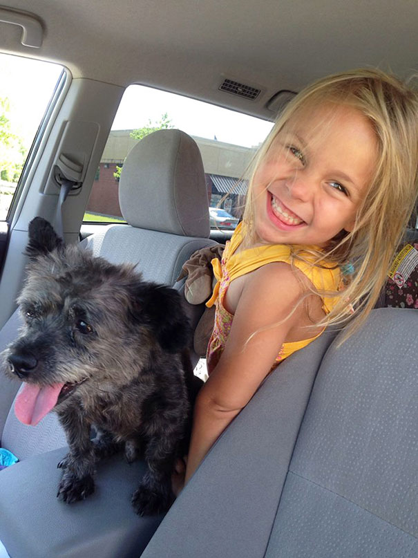 woman-adopts-abandoned-dying-dog-chester-nicole-elliott-3 woman-adopts-abandoned-dying-dog-chester-nicole-elliott-3