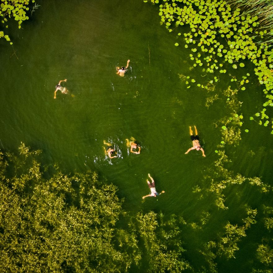 This Is How Birds See The World