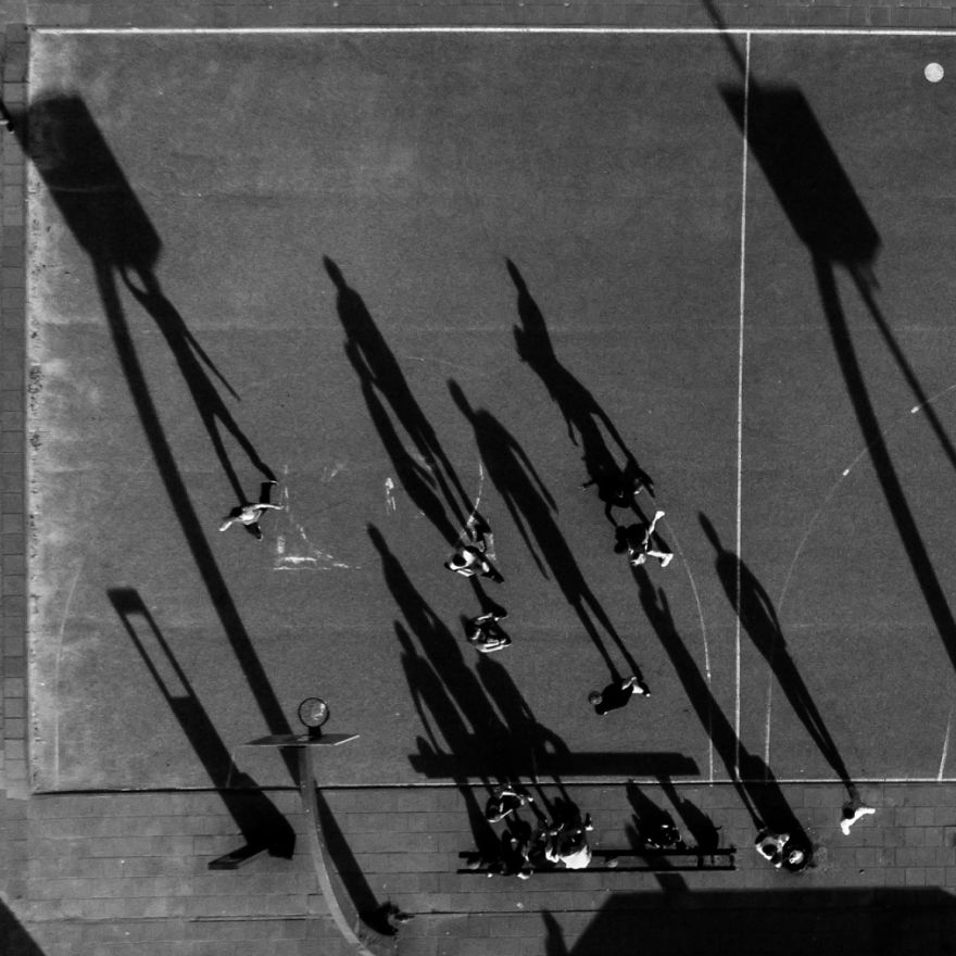 This Is How Birds See The World