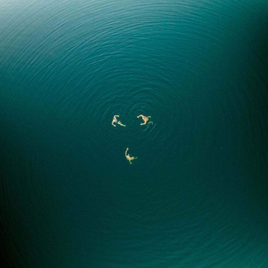 This Is How Birds See The World