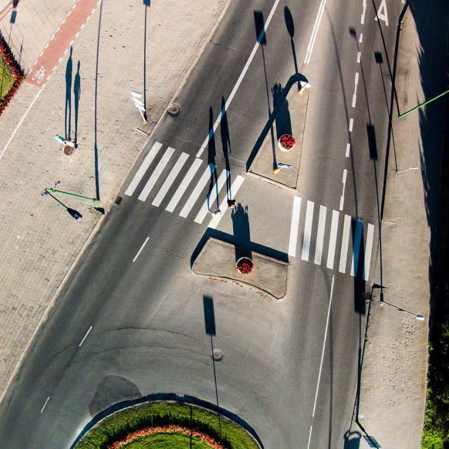 This Is How Birds See The World This Is How Birds See The World