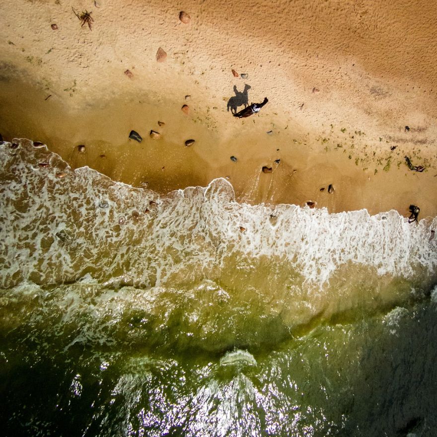 This Is How Birds See The World