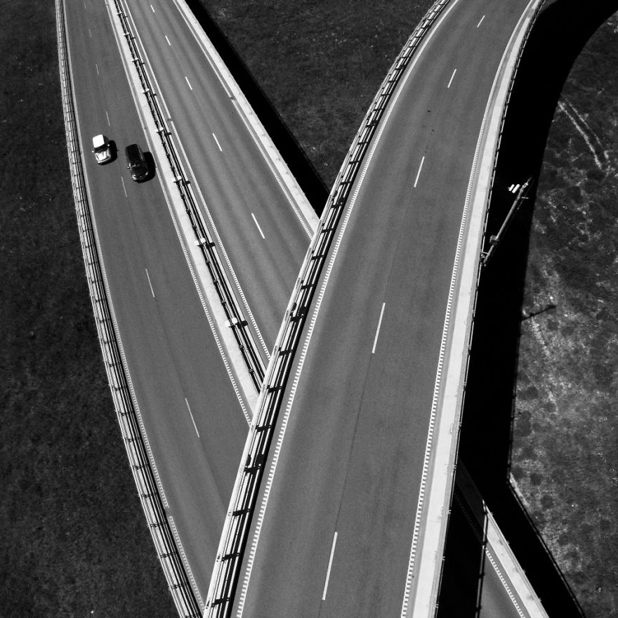 This Is How Birds See The World